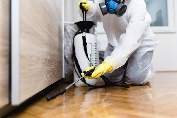 Best Termite Control Services  in Coldwater, MI