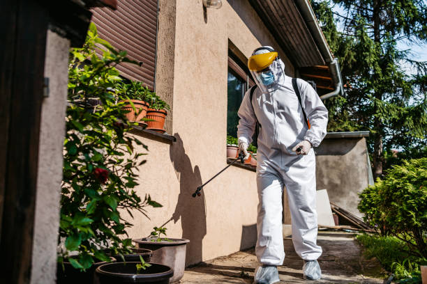 Best Best Pest Control Companies  in Coldwater, MI
