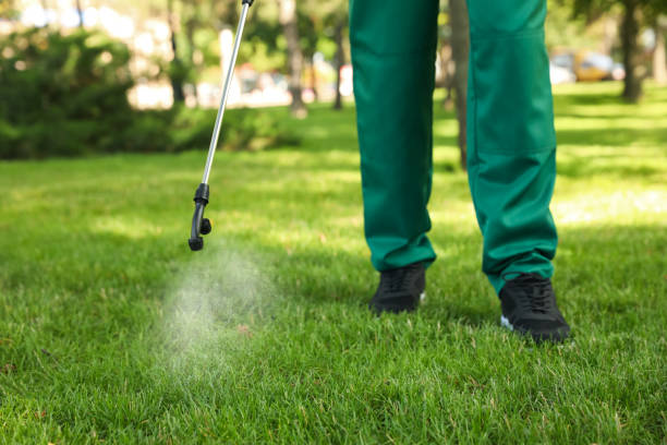 Best Best Pest Control Companies  in Coldwater, MI