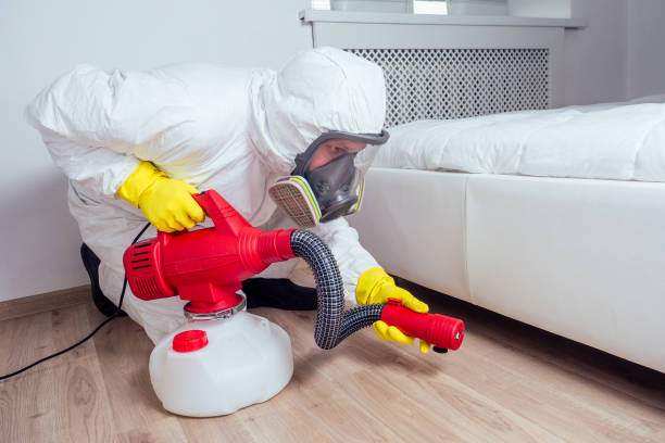 Best Affordable Pest Control Services  in Coldwater, MI