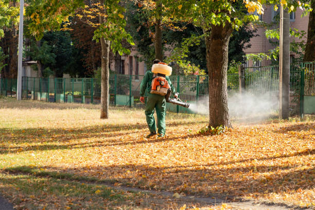 Best Pest Prevention Services  in Coldwater, MI