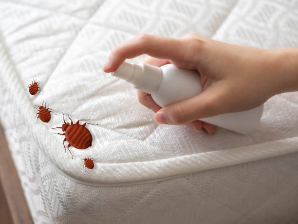 Trusted Coldwater, MI Pest Control Experts
