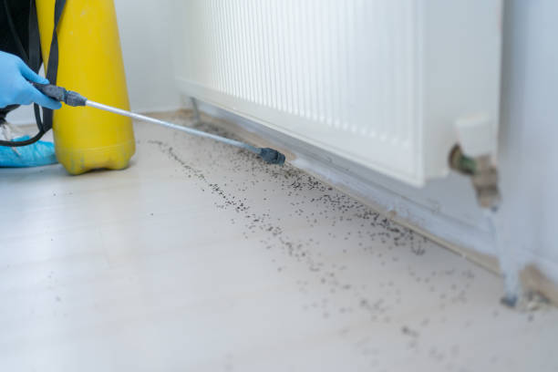 Best Exterminator Services  in Coldwater, MI